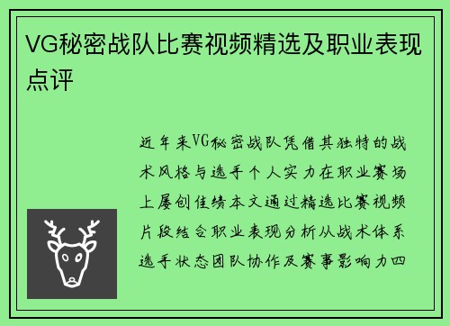 VG秘密战队比赛视频精选及职业表现点评